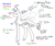 Size: 1024x854 | Tagged: safe, artist:anxiouslilnerd, firefly pony, pony, lantern, reference sheet, semi-open species, species reference