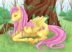 Size: 1000x720 | Tagged: safe, artist:seadragon06, fluttershy, g4, braid, eyes closed, female, folded wings, forest, peaceful, profile, prone, solo, tree, under the tree