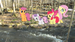 Size: 1696x954 | Tagged: safe, apple bloom, fluttershy, scootaloo, sweetie belle, g4, creek, cutie mark crusaders, forest, irl, photo, ponies in real life, river