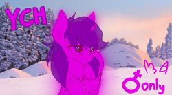 Size: 1280x709 | Tagged: safe, artist:xn-d, advertisement, clothes, commission, smiling, solo, winter, your character here
