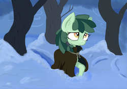 Size: 2484x1752 | Tagged: safe, artist:paskanaakka, derpibooru exclusive, oc, oc only, oc:sweetleaf, earth pony, pony, bags under eyes, cloak, clothes, ear fluff, female, filly, forest, freckles, sad, snow, solo, tree, winter