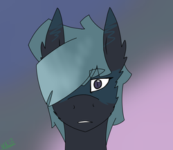 Size: 1006x872 | Tagged: safe, artist:moonakart13, artist:moonaknight13, oc, oc only, pony, blank expression, ear fluff, gradient background, solo