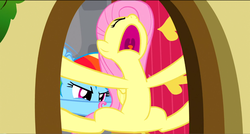 Size: 1360x730 | Tagged: safe, screencap, fluttershy, rainbow dash, pony, dragon quest, g4, fluttershy's cottage, open mouth, pushing, volumetric mouth