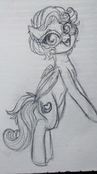Size: 1456x2592 | Tagged: safe, artist:hippykat13, artist:sabokat, oc, oc only, oc:kitty sweet, pegasus, pony, black and white, cute, glasses, grayscale, monochrome, piercing, ponified animal photo, sketch, solo, standing, traditional art