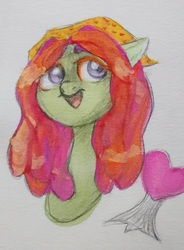 Size: 1426x1937 | Tagged: safe, artist:hippykat13, artist:sabokat, artist:trichykitty, tree hugger, g4, cute, cutie mark, painting, partial color, solo, traditional art