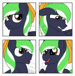 Size: 695x700 | Tagged: safe, artist:tambelon, oc, oc only, oc:moonlit ace, pegasus, pony, cowboy hat, expressions, hat, male, solo, stallion, watermark