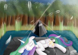 Size: 3507x2480 | Tagged: safe, artist:frozentear7, princess celestia, alicorn, pony, g4, crepuscular rays, eyes closed, feather, female, floppy ears, high res, mare, prone, reference, scene interpretation, sleeping, solo