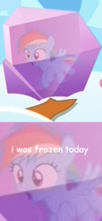 Size: 228x493 | Tagged: safe, rainbow dash, g4, the cutie re-mark, comic sans, female, filly, filly rainbow dash, i was frozen today, meme, nostalgia critic, suburban commando, younger
