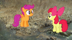 Size: 1696x954 | Tagged: safe, apple bloom, scootaloo, g4, river, river stream