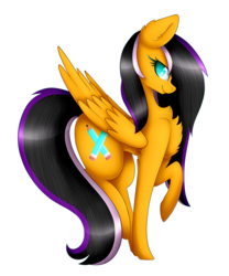 Size: 2000x2400 | Tagged: safe, artist:magicalbrownie, oc, oc only, oc:sunrise, pegasus, pony, chest fluff, female, high res, mare, raised hoof, simple background, solo, transparent background
