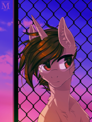 Size: 757x1000 | Tagged: safe, artist:margony, oc, oc only, pony, unicorn, brown hair, cloud, commission, fence, male, sky, solo, stallion