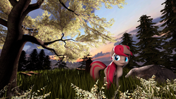 Size: 1920x1080 | Tagged: safe, artist:seagale, angel wings, pony, g4, 3d, cloud, female, field, solo, sunset, tree