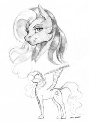 Size: 1100x1502 | Tagged: safe, artist:baron engel, silver glow, pegasus, pony, g3, g4, female, g3 to g4, generation leap, grayscale, looking at you, mare, monochrome, pencil drawing, simple background, sketch, smiling, solo, traditional art, white background