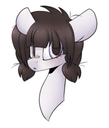 Size: 3000x3504 | Tagged: safe, artist:umiimou, oc, oc only, earth pony, pony, bust, female, high res, mare, portrait, simple background, solo, transparent background