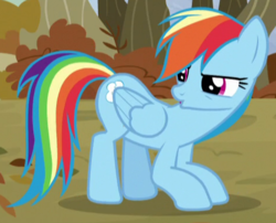 Size: 470x380 | Tagged: safe, screencap, rainbow dash, pony, g4, tanks for the memories, cropped, crouching, duckface, female, mare, rainbow dash is not amused, solo, unamused