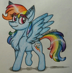 Size: 2031x2056 | Tagged: safe, artist:raritylover152, rainbow dash, pegasus, pony, g4, art trade, chest fluff, ear fluff, female, high res, mare, signature, solo, sternocleidomastoid, traditional art