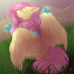 Size: 1000x1000 | Tagged: safe, artist:peachmayflower, fluttershy, butterfly, g4, beautiful, eyes closed, female, grass field, large wings, rear view, signature, sitting, smiling, solo, spread wings, sunlight, wings