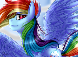 Size: 3389x2480 | Tagged: safe, artist:wolfchen999, rainbow dash, pegasus, pony, g4, female, high res, mare, solo