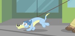 Size: 854x417 | Tagged: safe, screencap, indigo wreath, dog, equestria girls, g4, music to my ears, my little pony equestria girls: rainbow rocks, blue dog, clothes, pants, running, shoes, short, sneakers