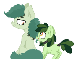 Size: 2083x1636 | Tagged: safe, artist:paskanaakka, derpibooru exclusive, oc, oc only, oc:bittergreen, oc:sweetleaf, earth pony, pony, biting, duo, duo female, ear fluff, female, filly, grumpy, hair bite, hair pulling, shoulder fluff, simple background, sisters, tail wrap, transparent background