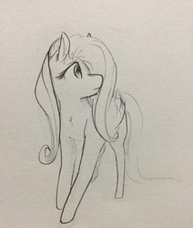 Size: 2448x2889 | Tagged: safe, artist:hkpegasister, fluttershy, pegasus, pony, g4, female, high res, monochrome, pencil drawing, solo, traditional art