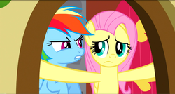 Size: 1360x730 | Tagged: safe, screencap, fluttershy, rainbow dash, pony, dragon quest, g4, fluttershy's cottage