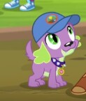 Size: 123x145 | Tagged: safe, screencap, spike, spike the regular dog, dog, equestria girls, g4, my little pony equestria girls: legend of everfree, cap, hat, looking up, male, smiling, solo