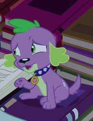 Size: 721x932 | Tagged: safe, screencap, spike, dog, equestria girls, g4, my little pony equestria girls, book, male, sitting, solo, spike the dog