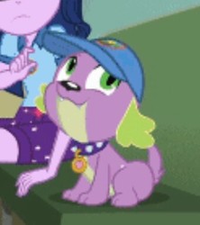 Size: 340x383 | Tagged: safe, screencap, sci-twi, spike, spike the regular dog, twilight sparkle, dog, equestria girls, g4, my little pony equestria girls: legend of everfree, camp everfree, cap, clothes, hat, looking up, shorts