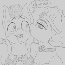 Size: 1280x1280 | Tagged: safe, artist:askamberfawn, oc, oc only, oc:almond acres, oc:drummy, pony, blushing, crossdressing, kissing, open mouth, pomf, spanish, spread wings, wingboner