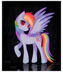 Size: 1040x1200 | Tagged: safe, artist:lmknif, rainbow dash, g4, female, looking at you, rain, raised hoof, reflection, solo