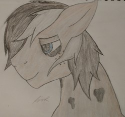 Size: 2306x2168 | Tagged: safe, artist:teardrop, oc, oc only, oc:samson nite, earth pony, pony, colored, colored pupils, freckles, happy, high res, persona, solo, spots, traditional art