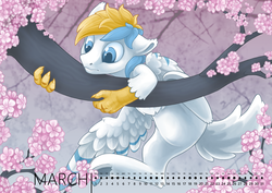 Size: 1000x707 | Tagged: safe, artist:arctic-fox, oc, oc only, oc:cirrus sky, hippogriff, hybrid, calendar, cherry blossoms, claws, cute, floppy ears, flower, flower blossom, male, solo, stallion, tree