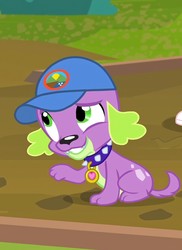 Size: 630x866 | Tagged: safe, spike, spike the regular dog, dog, equestria girls, g4, my little pony equestria girls: legend of everfree, cap, hat, male, smiling, solo