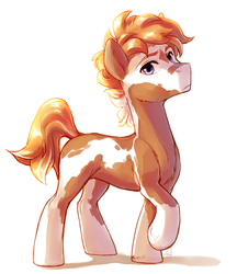 Size: 1246x1441 | Tagged: safe, artist:maccoffee, oc, oc only, earth pony, pony, solo