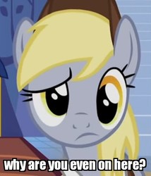 Size: 409x477 | Tagged: safe, edit, edited screencap, screencap, derpy hooves, pegasus, pony, g4, to where and back again, confused, female, frown, image macro, mare, meme, raised eyebrow, reaction image, solo focus