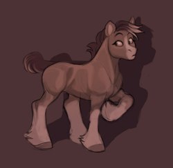 Size: 1053x1024 | Tagged: safe, artist:kapusha-blr, oc, oc only, earth pony, pony, solo, unshorn fetlocks