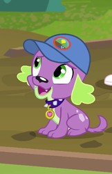 Size: 466x720 | Tagged: safe, screencap, spike, spike the regular dog, dog, equestria girls, g4, my little pony equestria girls: legend of everfree, cap, cropped, hat, looking up, male, solo focus