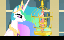 Size: 768x480 | Tagged: safe, edit, screencap, philomena, princess celestia, alicorn, phoenix, pony, a bird in the hoof, g4, season 1, animated, birdcage, caption, coughing, drama queen, feather, female, gif, mare, molting, pet, smiling, text, twitching