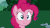 Size: 541x303 | Tagged: safe, screencap, pinkie pie, earth pony, pony, baby cakes, g4, season 2, animated, cute, daaaaaaaaaaaw, diapinkes, excited, eye shimmer, female, gif, grin, happy, mare, open mouth, ponk, smiling, solo, wide eyes, wide smile