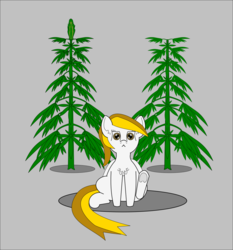 Size: 1323x1419 | Tagged: safe, artist:planetkiller, oc, oc only, oc:high wind chimes, pony, drugs, looking at you, marijuana, plant, simple background, sitting, solo, underhoof
