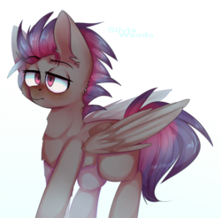 Size: 1878x1849 | Tagged: safe, artist:silvia woods, oc, oc only, oc:cloud bringer, pegasus, pony, male, simple background, solo, unamused
