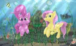 Size: 2541x1545 | Tagged: safe, artist:skyresonance, fluttershy, pinkie pie, fish, pony, g4, bubble, coral, duo, looking at you, oyster, puffy cheeks, seaweed, underwater