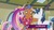 Size: 1536x852 | Tagged: safe, screencap, princess cadance, shining armor, spearhead, twilight sparkle, alicorn, pegasus, pony, unicorn, a flurry of emotions, g4, my little pony: friendship is magic, discovery family logo, female, male, mare, stallion