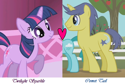 Size: 687x465 | Tagged: safe, edit, edited screencap, screencap, comet tail, spring melody, sprinkle medley, twilight sparkle, g4, female, male, ship:cometlight, shipping, shipping domino, straight