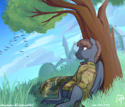 Size: 905x779 | Tagged: safe, artist:jitterladybug, oc, oc only, oc:aegis, bird, pegasus, pony, clothes, male, military, solo, stallion, tree, uniform