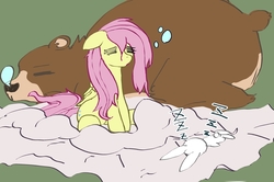 Size: 880x586 | Tagged: safe, artist:noupu, angel bunny, fluttershy, harry, g4, blanket, simple background, sleepy, tired