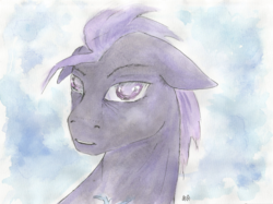 Size: 3293x2457 | Tagged: safe, artist:sigridmarialer, oc, oc only, oc:dusk strider, pony, high res, male, solo, stallion, traditional art, watercolor painting