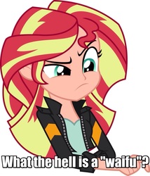 Size: 876x1024 | Tagged: safe, artist:sketchmcreations, edit, editor:theabridgenator, sunset shimmer, human, equestria girls, g4, my little pony equestria girls: friendship games, clothes, female, human coloration, image macro, irony, jacket, leather jacket, meme, photoshop, pondering, raised eyebrow, simple background, solo, upper body, vector, waifu