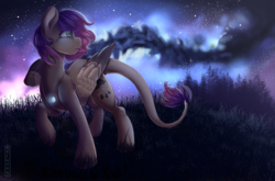 Size: 2000x1321 | Tagged: safe, artist:aelwyng, oc, oc only, oc:evening howler, pegasus, pony, female, gift art, grass, grass field, long tail, looking back, mare, night, night sky, raised hoof, solo, starry night, stars